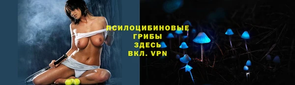 мяу мяу мука Баксан