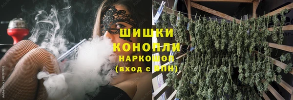 мяу мяу мука Баксан