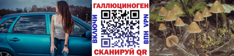 Галлюциногенные грибы Psilocybe  даркнет сайт  Беслан 